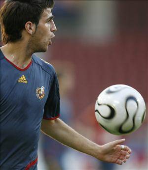 cesc260606.jpg